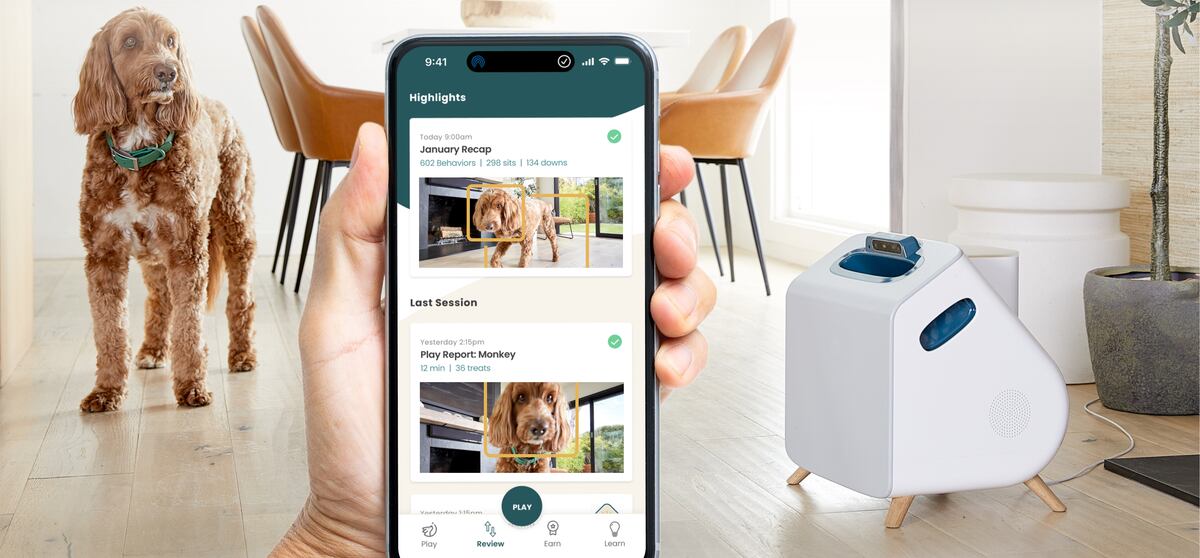 A.I. That Helps Take Care of Your Dog