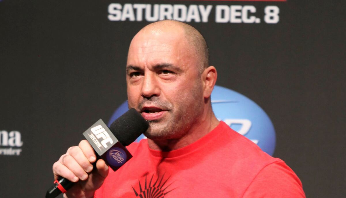 Spotify CEO Says Canceling Joe Rogan Isn't 'the Answer'