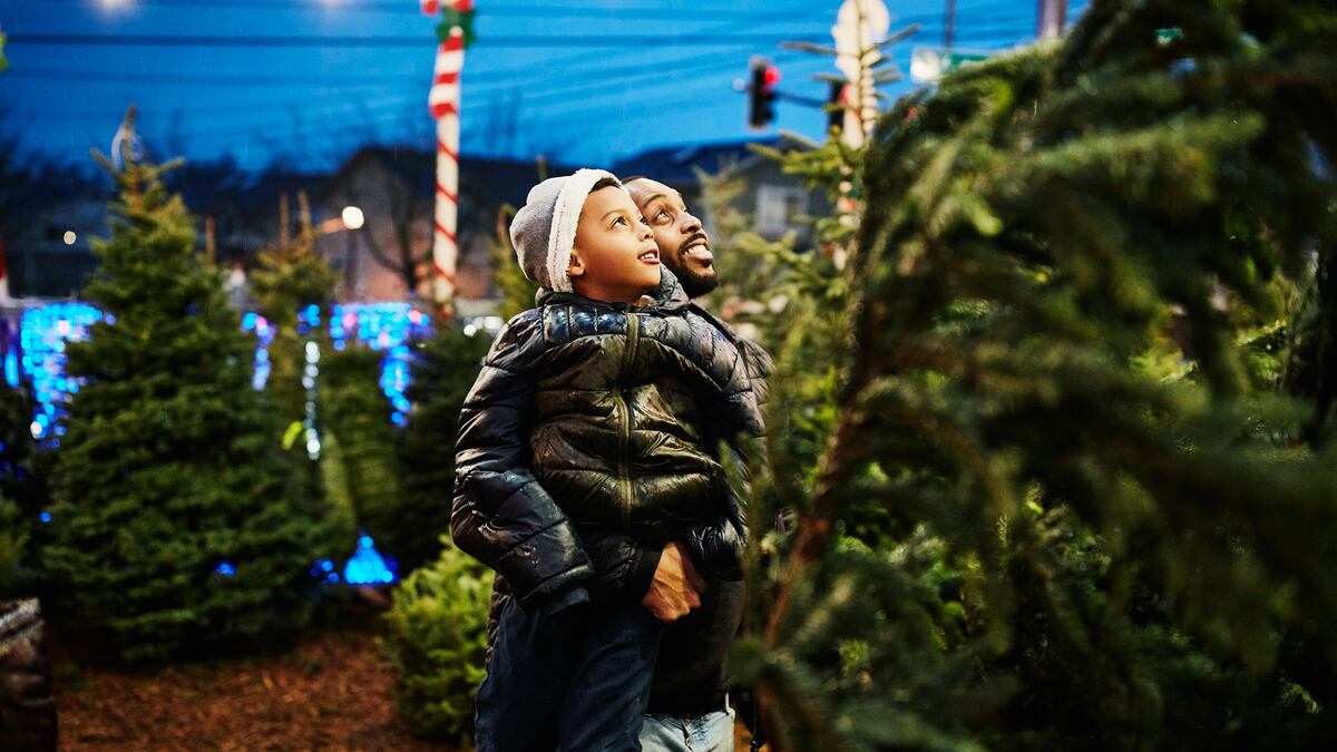 Be Well: How to Pick Out the Perfect Christmas Tree