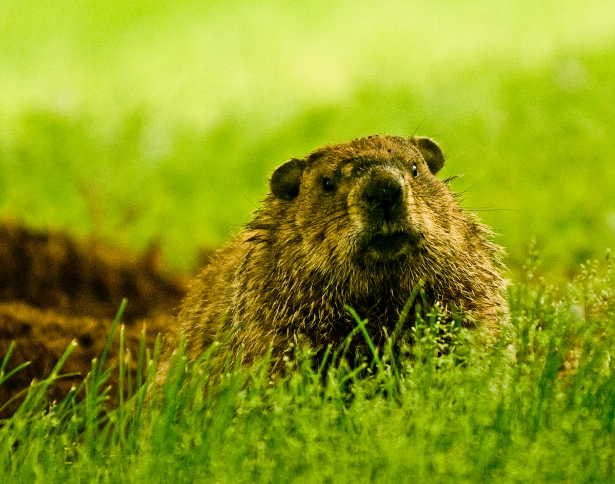 Why every day can feel like ‘Groundhog Day’ in the military Why every day can feel like ‘Groundhog Day’ in the military