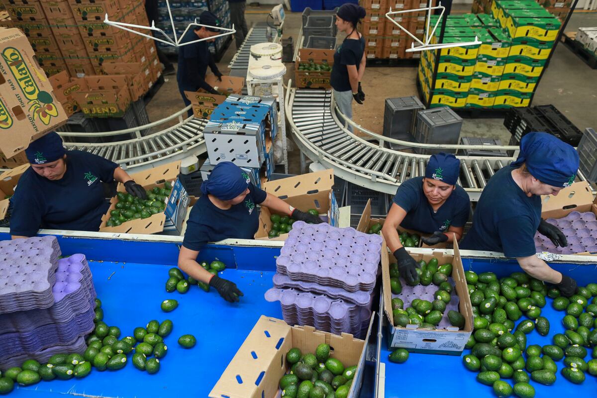 Erratic trade moves are baffling businesses, threatening investment