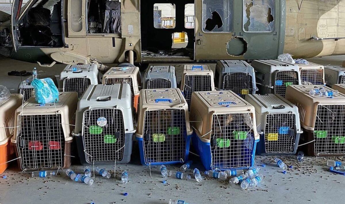 www.militarytimes.com