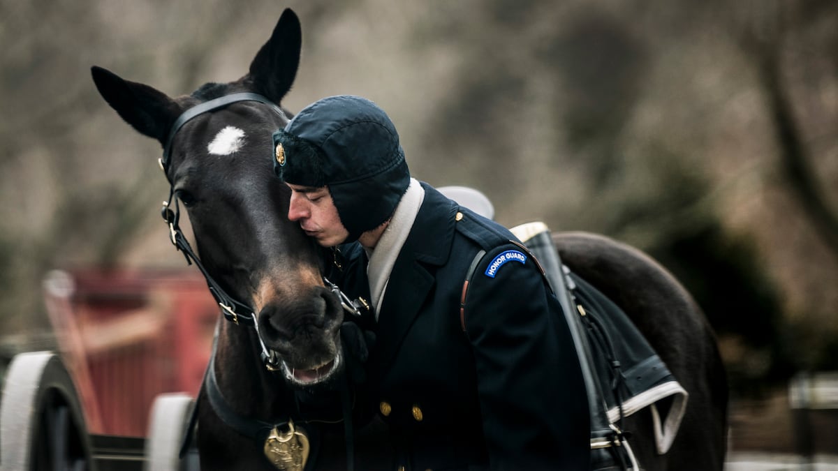 The Army certifies its first equestrians as it revamps horse care The Army certifies its first equestrians as it revamps horse care