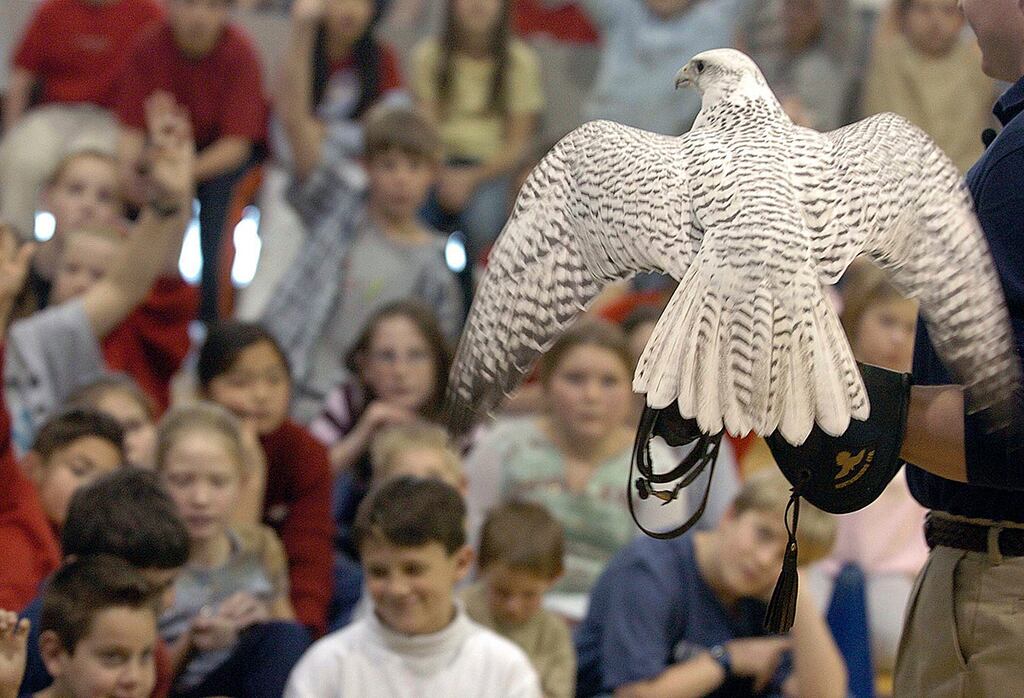 US Air Force Academy’s oldest falcon mascot dies
