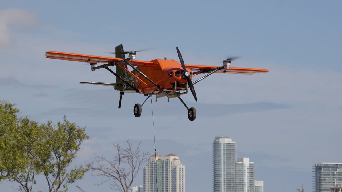 Is It a Bird? Is It a Plane? No, It's a Drone Selling Us Stuff!