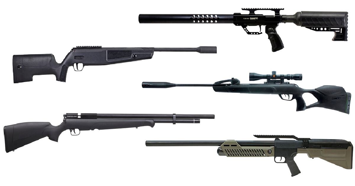 Air rifles: 5 top models new for 2018