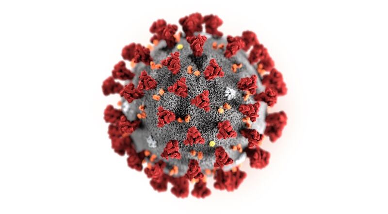 Explainer When Will There Be A Coronavirus Vaccine