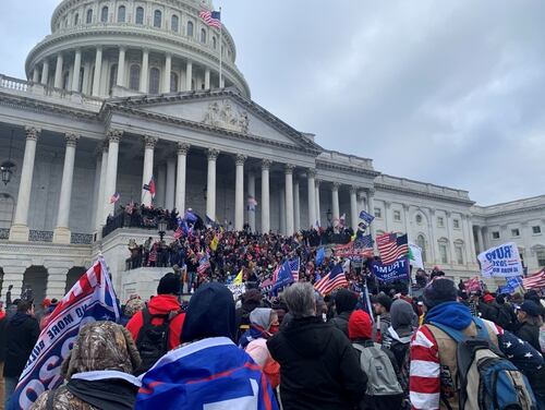 Pro-Trump protestors storm the U.S. Capitol Jan. 6, 2020. (Sarah Sicard/Staff)