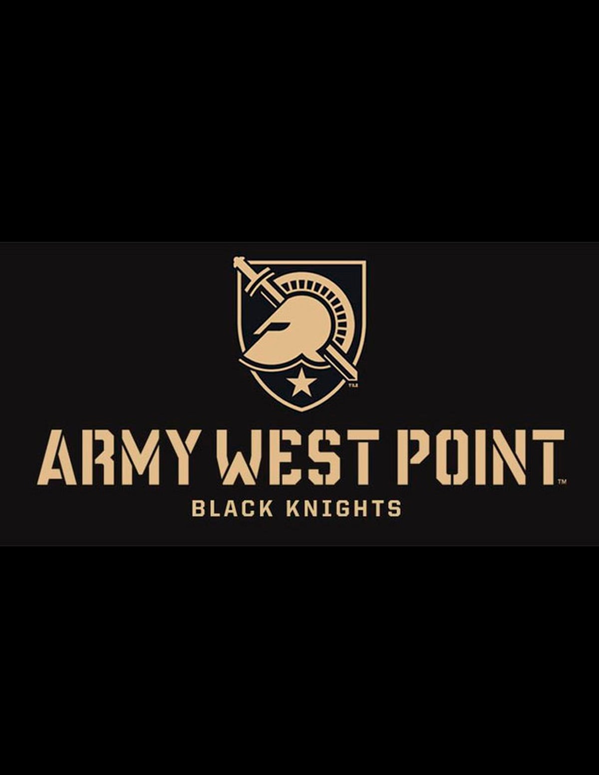 'Army West Point' Experts, readers offer mixed reviews