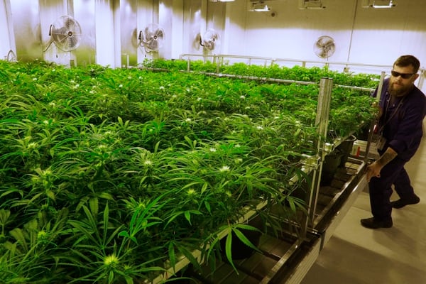 A medical marijuana cultivation center in Albion, Ill. (Seth Perlman/AP)